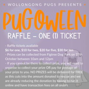 Raffle | www.pugoween.com.au