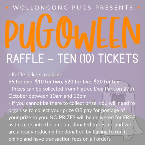 Raffle | www.pugoween.com.au