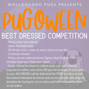 Best Dressed Competition | www.pugoween.com.au