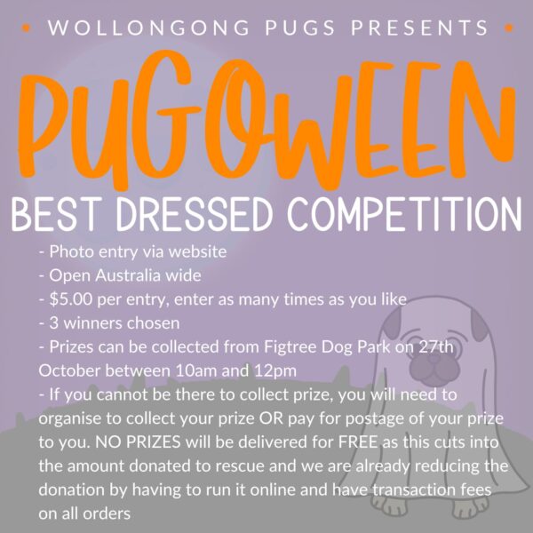 Best Dressed Competition | www.pugoween.com.au